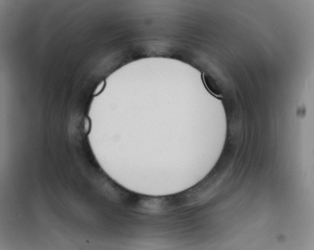 X0000101110079200807241146