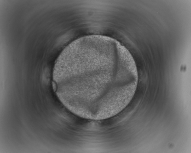 X0000101110080200807241146