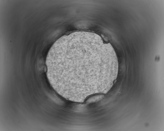 X0000101110081200807241146