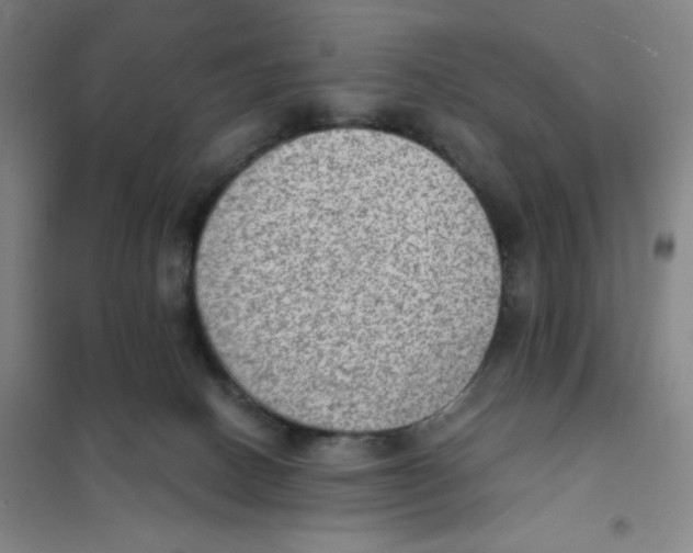 X0000101110082200807241146