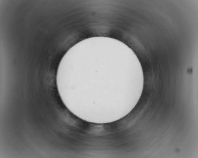 X0000101110083200807241146