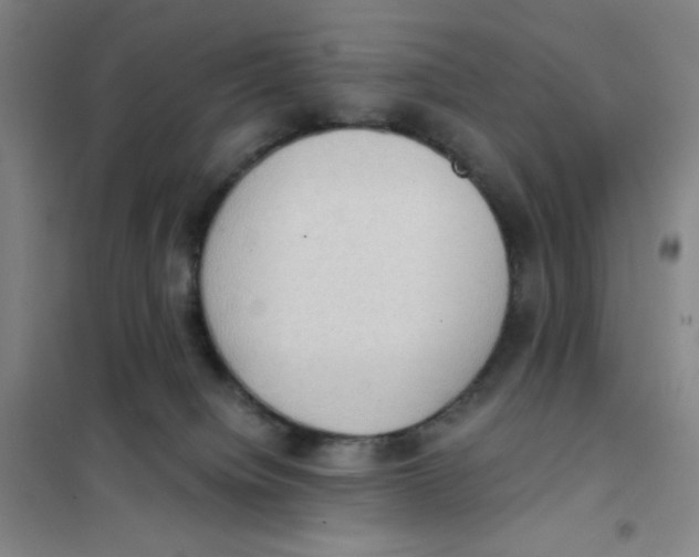X0000101110084200807241146