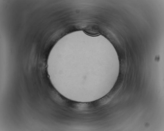 X0000101110085200807241146