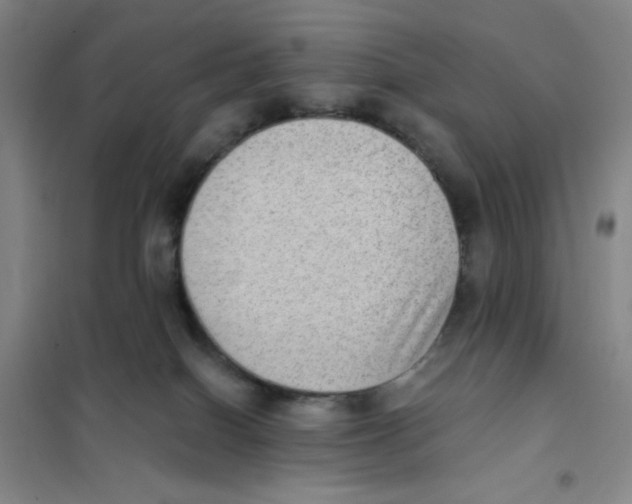X0000101110086200807241146