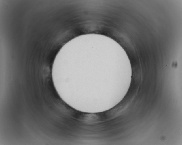 X0000101110087200807241146