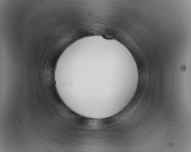 X0000101110088200807241146