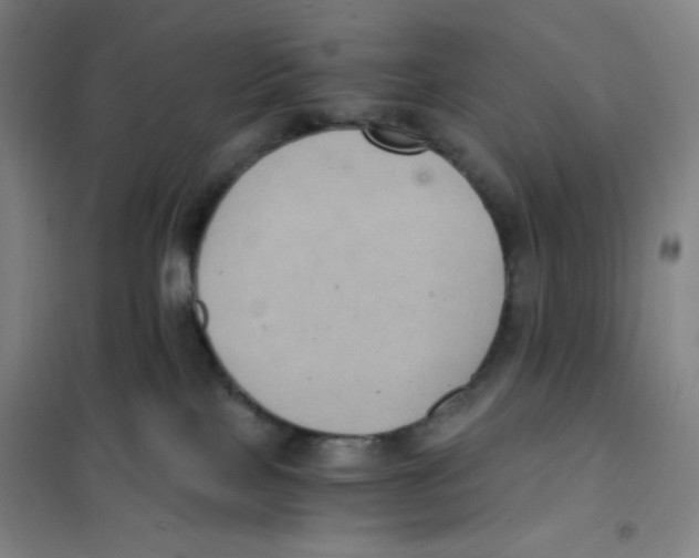 X0000101110089200807241146