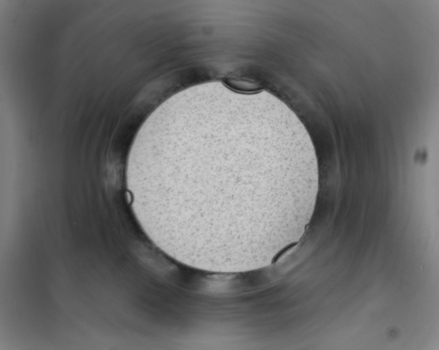 X0000101110090200807241146