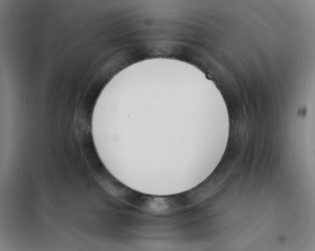 X0000101110091200807241146