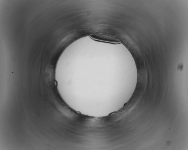 X0000101110092200807241146