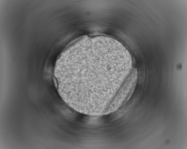 X0000101110093200807241146
