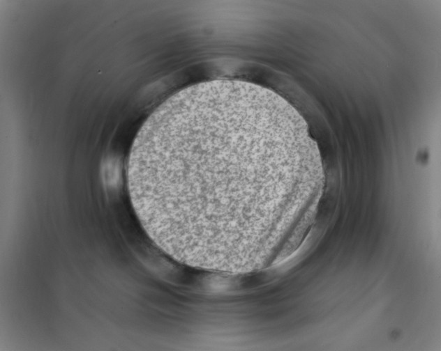 X0000101110094200807241146