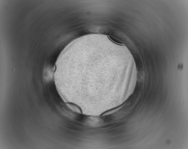 X0000101110095200807241146