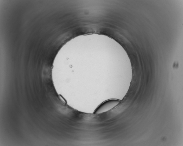 X0000101110096200807241146
