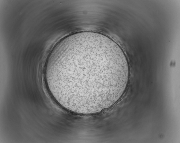 X0000101110097200807241145