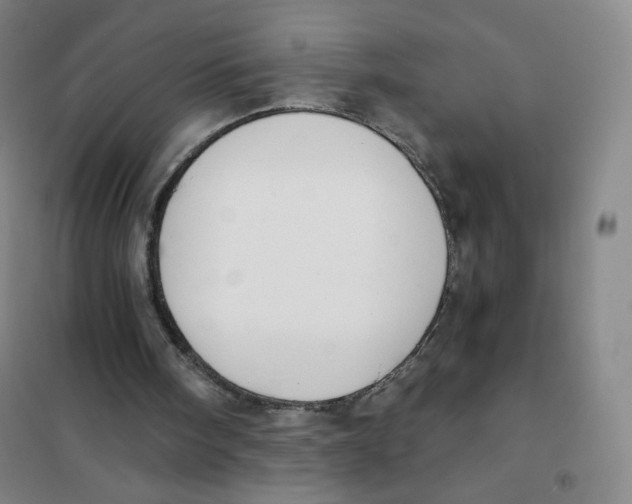 X0000101110098200807241145
