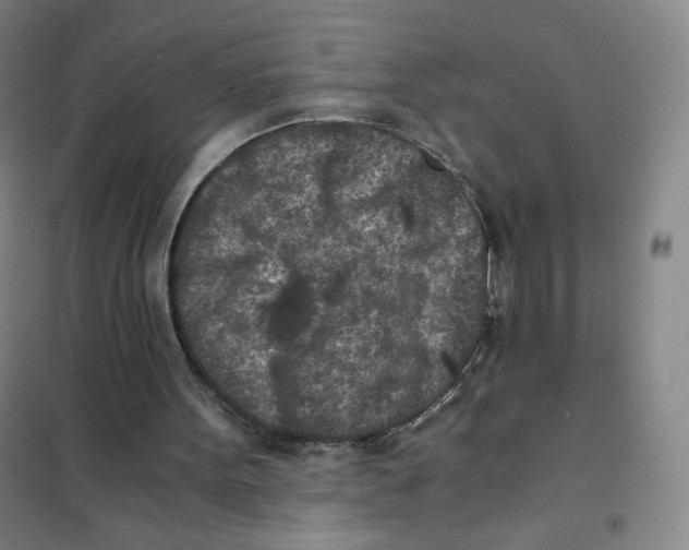 X0000101110099200807241145