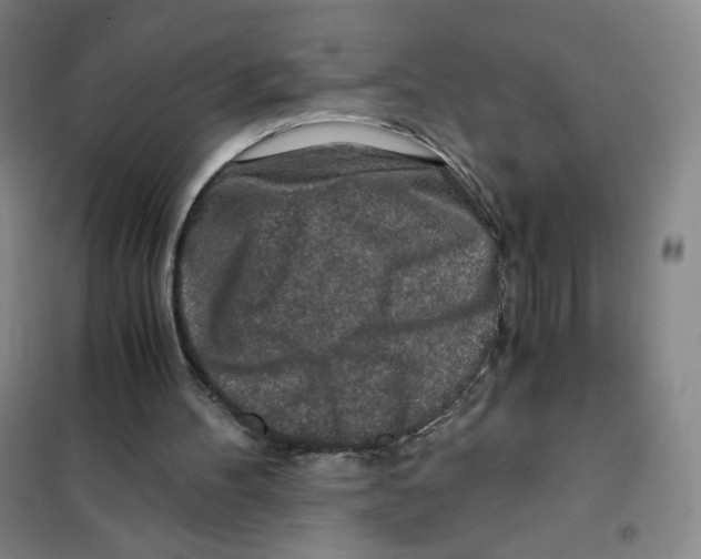 X0000101110100200807241145