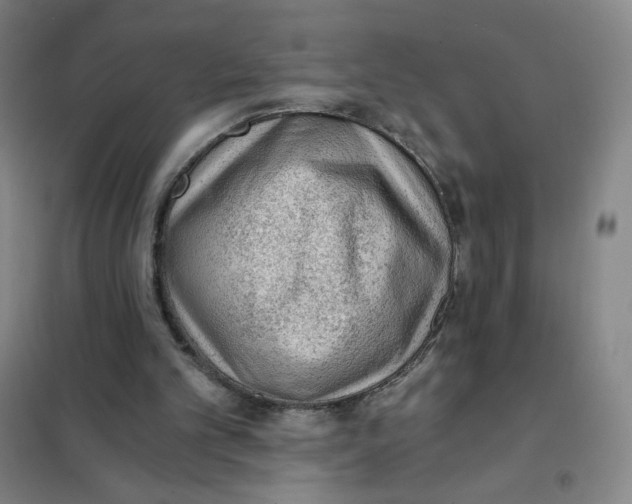 X0000101110101200807241145