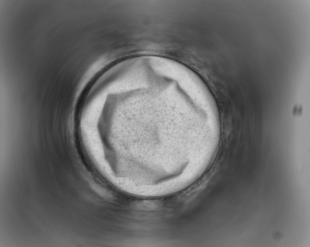 X0000101110102200807241145