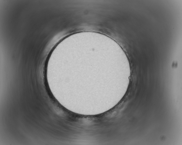 X0000101110103200807241145