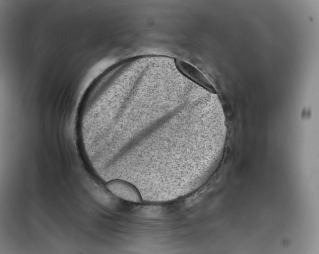 X0000101110104200807241145