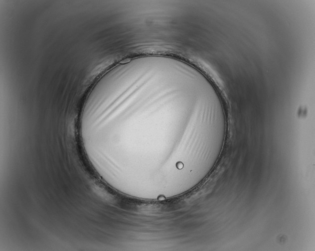 X0000101110105200807241145