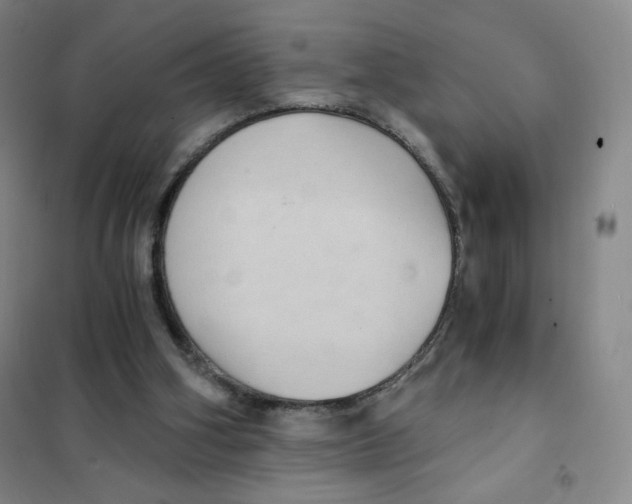 X0000101110106200807241145