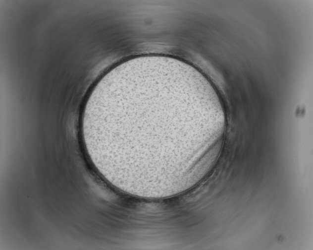 X0000101110107200807241145