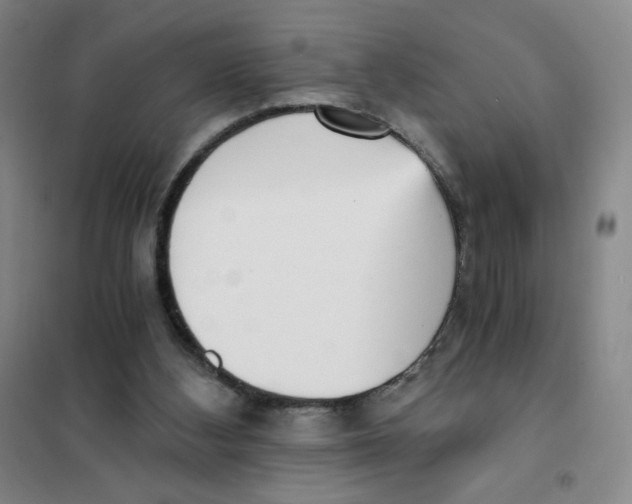 X0000101110108200807241145