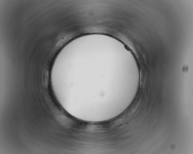 X0000101110109200807241145