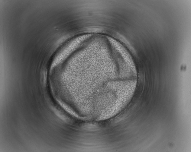 X0000101110110200807241145