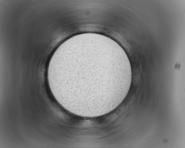 X0000101110111200807241145