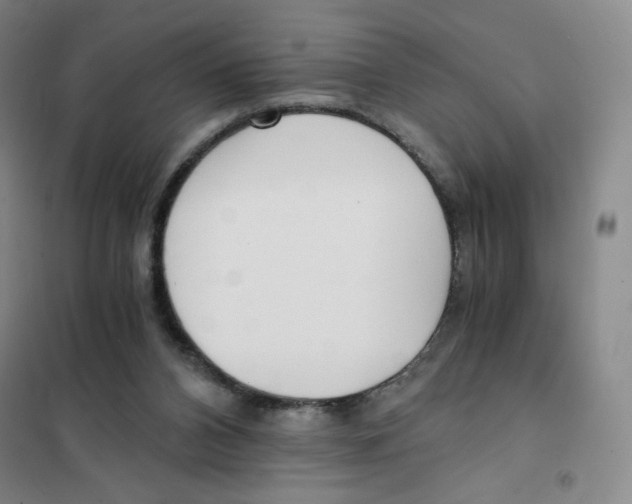 X0000101110112200807241145