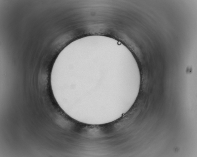 X0000101110113200807241145