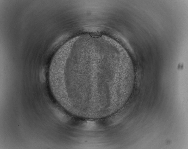 X0000101110114200807241145