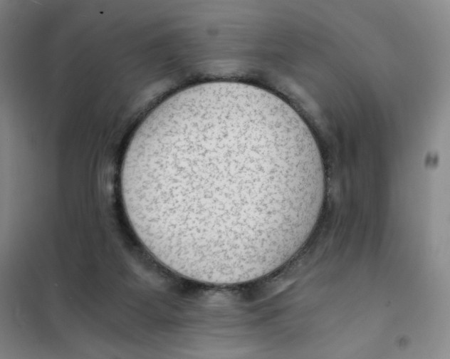X0000101110115200807241145