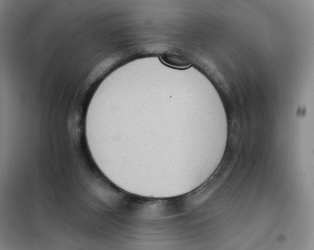 X0000101110116200807241145