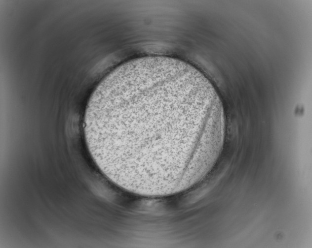 X0000101110117200807241145