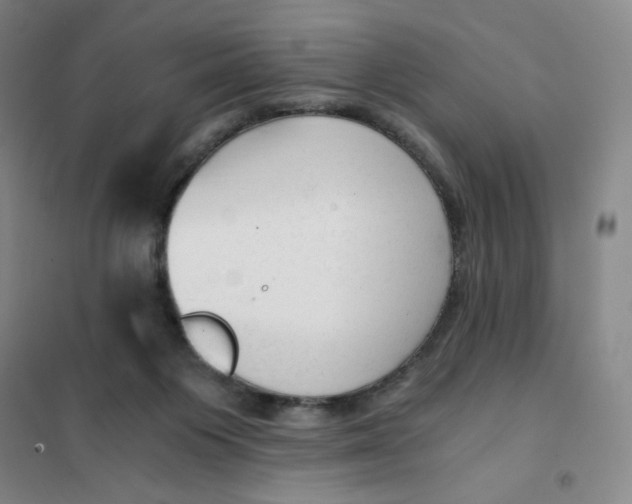 X0000101110119200807241144