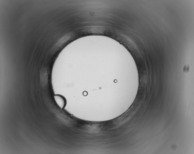 X0000101110120200807241144