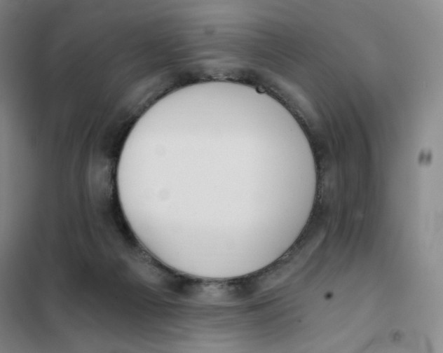 X0000101110121200807241144