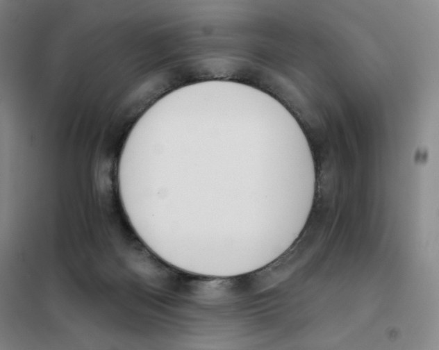 X0000101110122200807241144