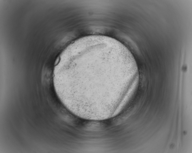 X0000101110123200807241144