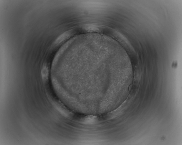 X0000101110124200807241144