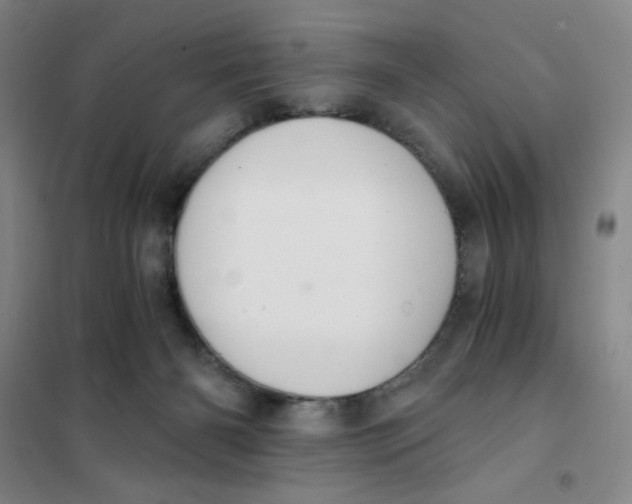 X0000101110126200807241144