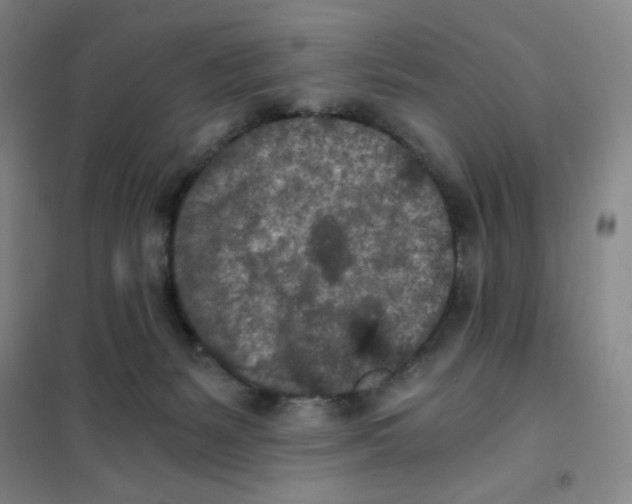 X0000101110127200807241144