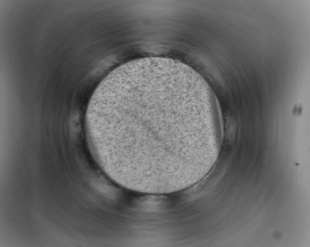 X0000101110128200807241144