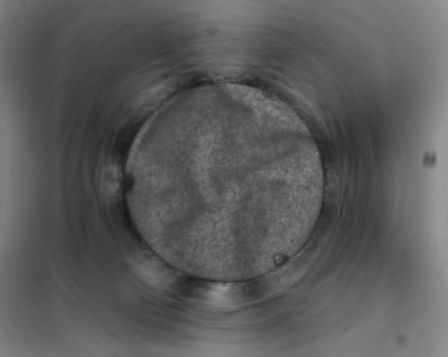 X0000101110130200807241144