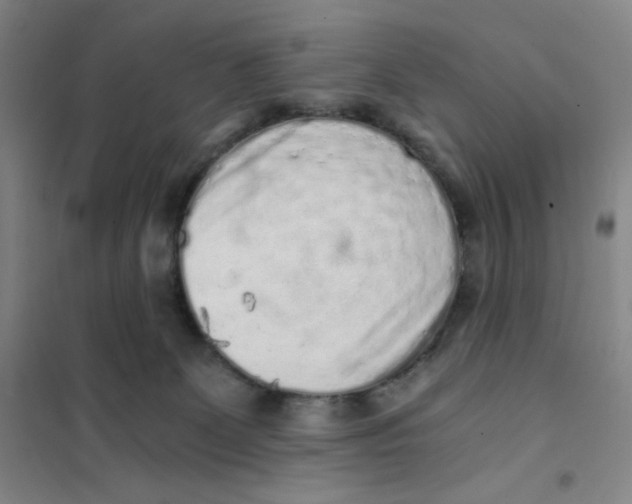 X0000101110131200807241144